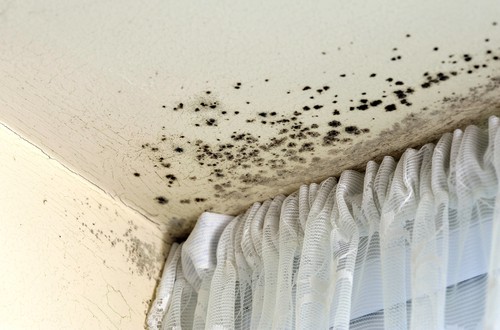 How Does Paint Waterproofing Work? 